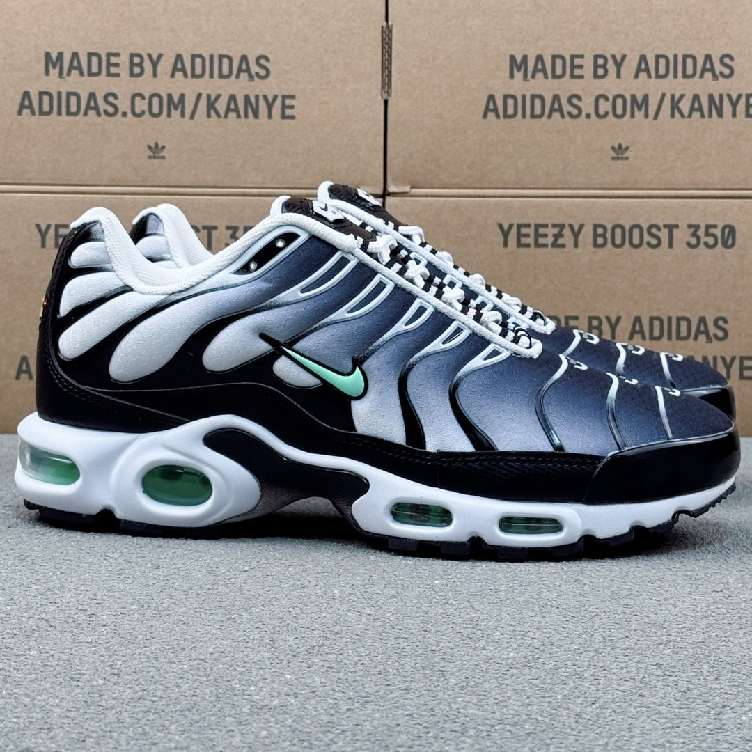 Nike Air Max TN Plus "Seafoam"