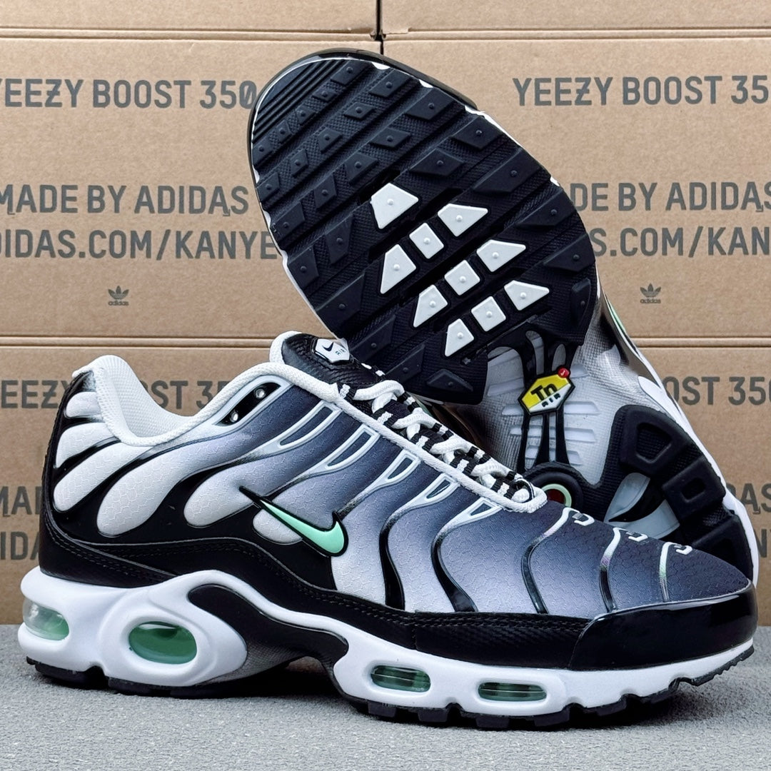 Nike Air Max TN Plus "Seafoam"