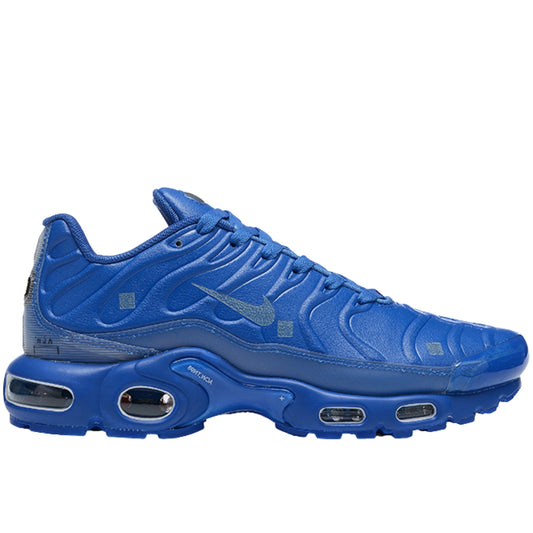 Nike Air Max TN Plus x ACW "Blue"